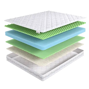 Rehab Roll Winter mini