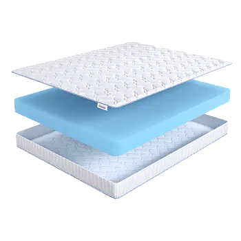 Base Roll Eco