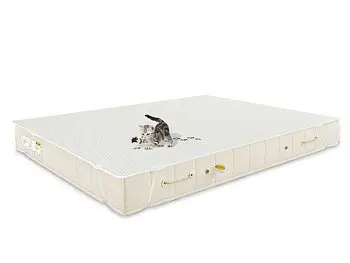 Защитный наматрасник Benartti Cotton (120х200)